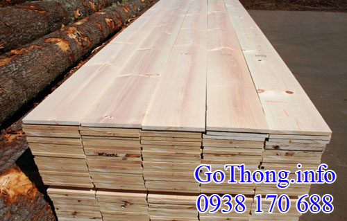 gỗ thông trắng (gỗ pine) nhập khẩu nguyên kiện