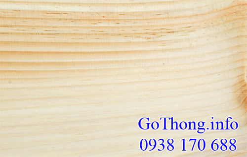 go-thong-trang-go-white-pine
